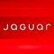 jaguar.jpeg